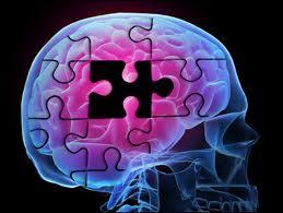 Brain